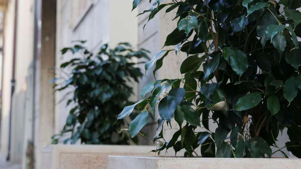 מלון רג'יו די קאלאבריה Domus Nova מראה חיצוני תמונה